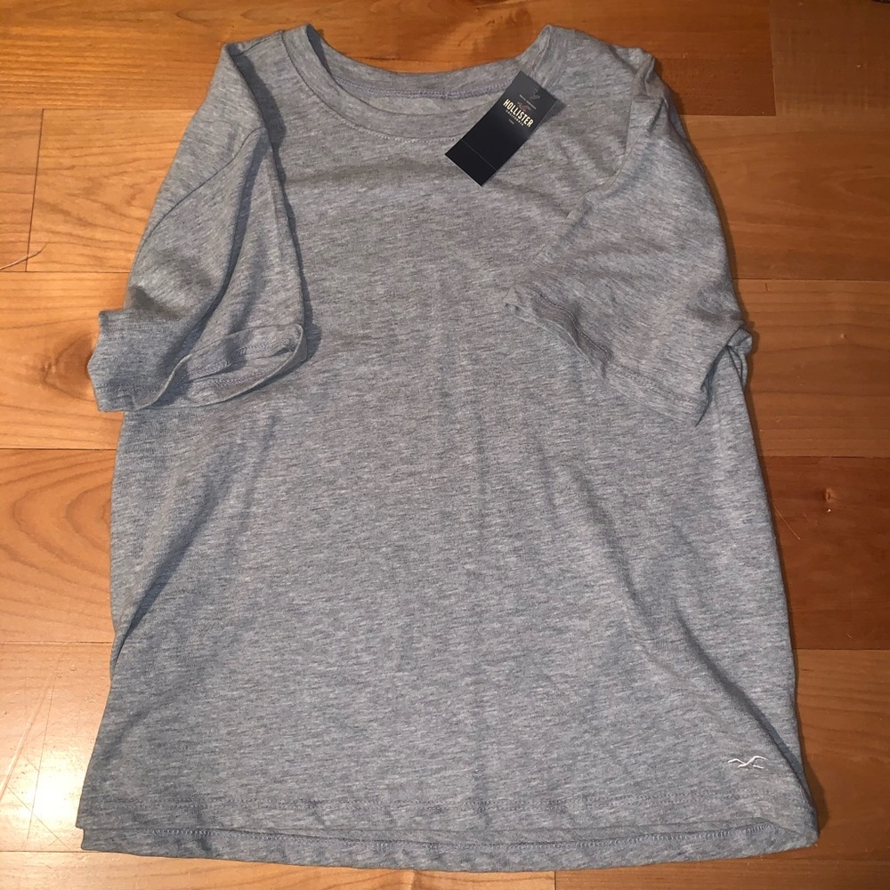 Holister t